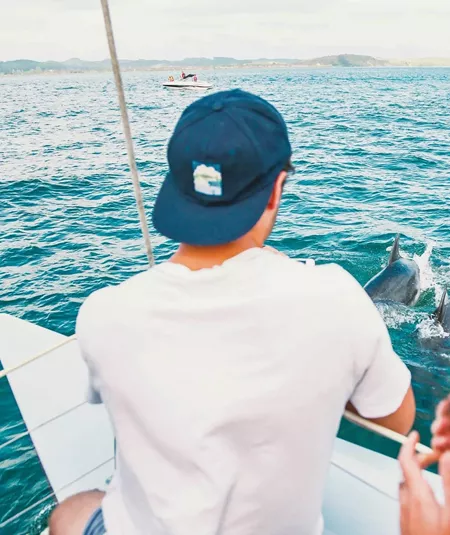 Dolphins swimming beside a boat in the Bay of Islands during Contiki's Bay of Islands & Rotorua Tour