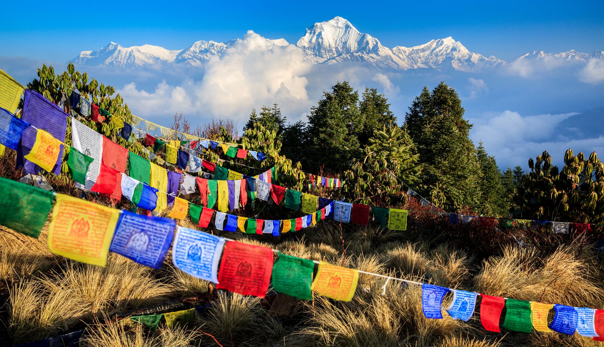 Asia Nepal Trips Travel Guide