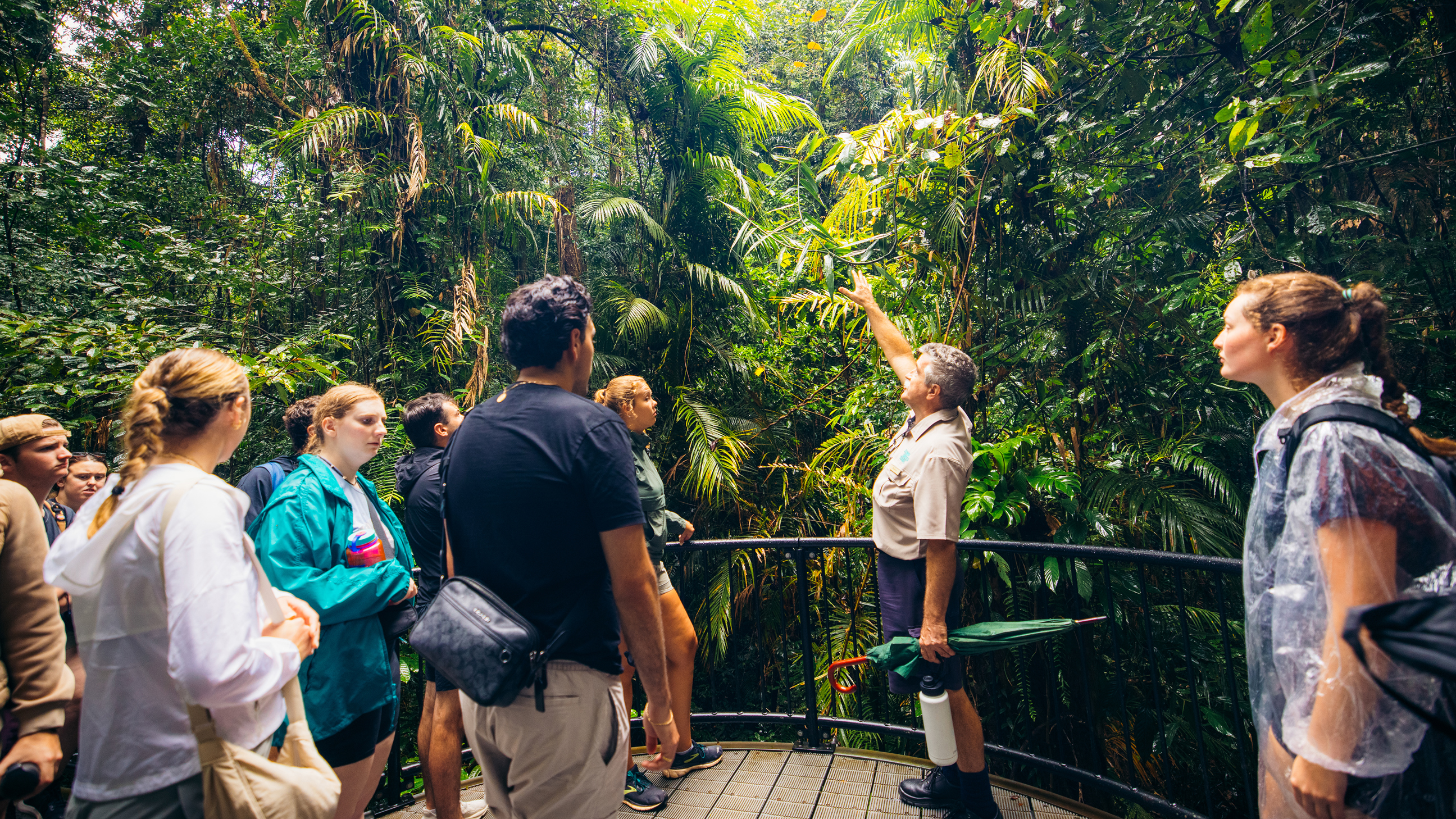 Do Daintree with a Guide MAKE TRAVEL MATTER® Experience
