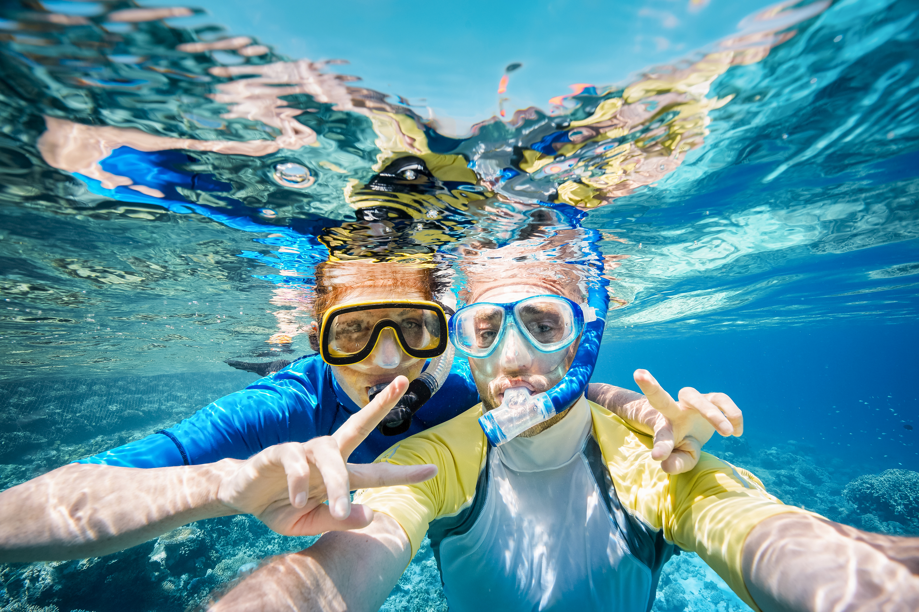 Snorkelling Opportunities