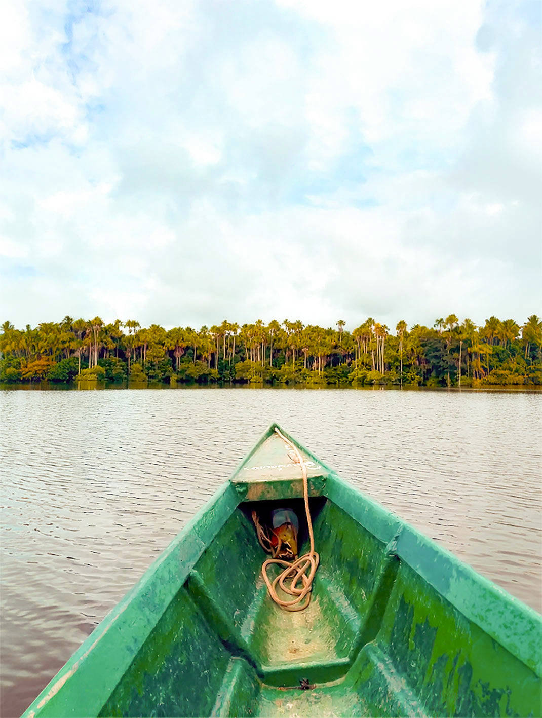 Take a canoe through the Sandoval Lake
