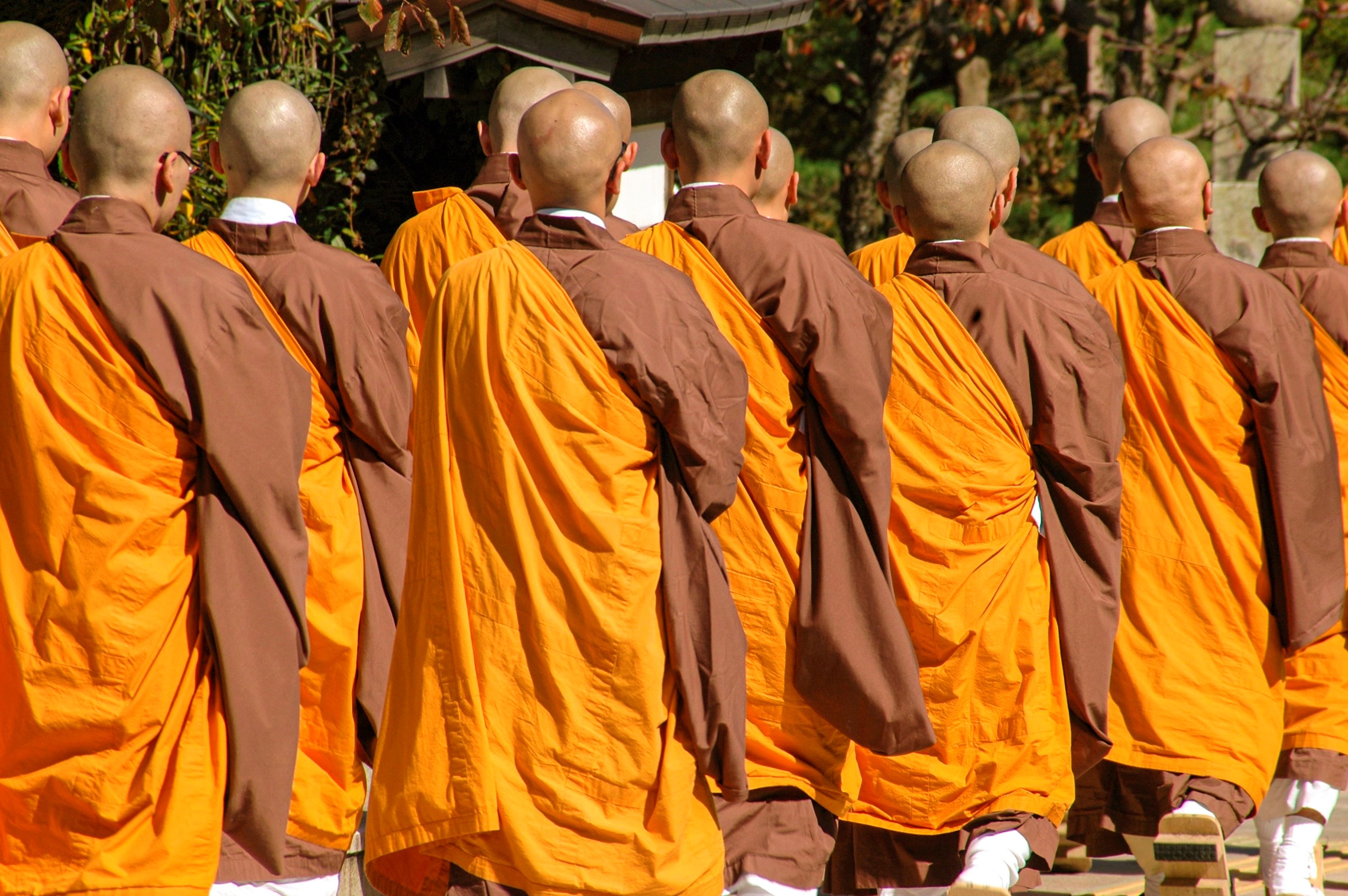 Join a Morning Buddhist Service 
