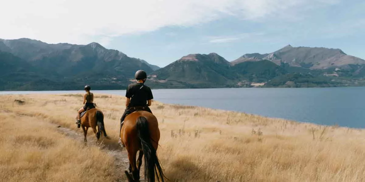 Walter Peak Horsetrek Queenstown
