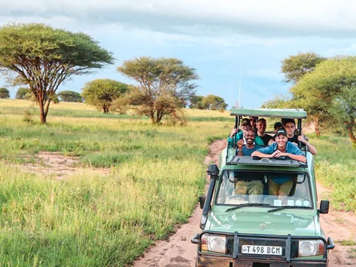 Game drive, Tarangire, Tanzania