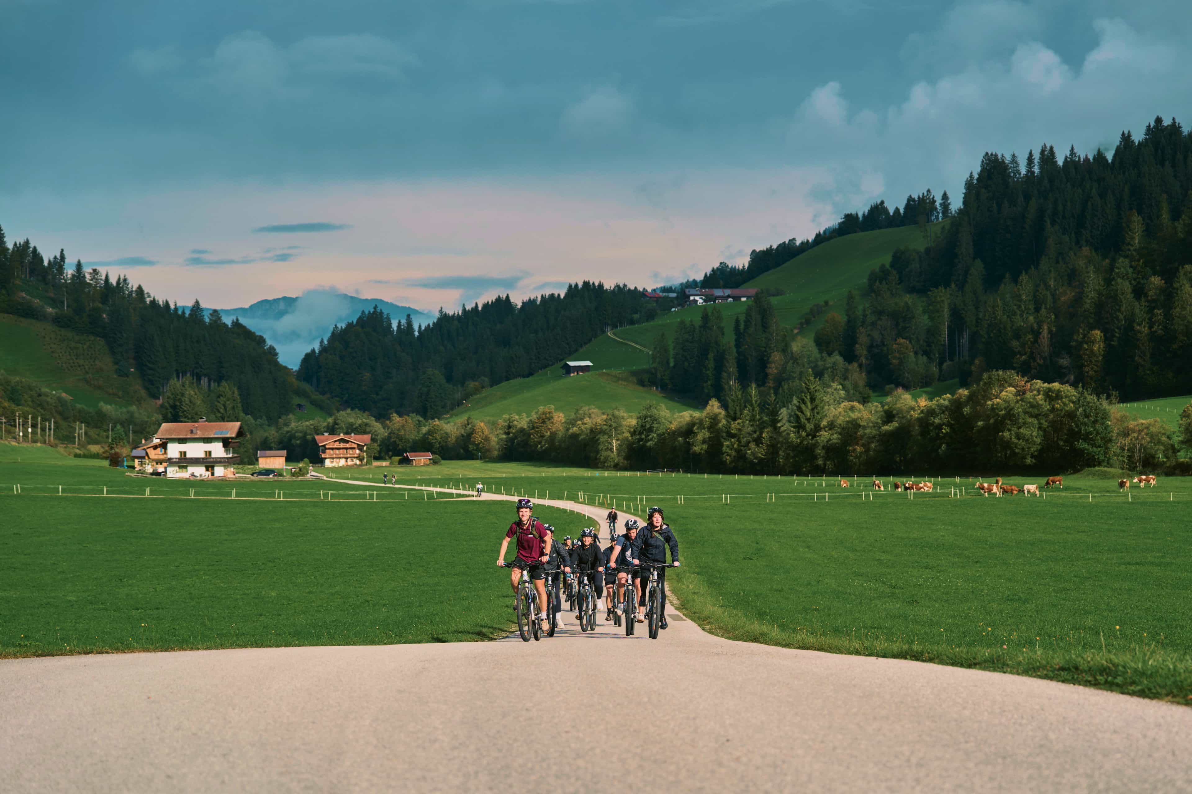 Group of cyclists riding through green Alpine valley pastures with grazing cattle.