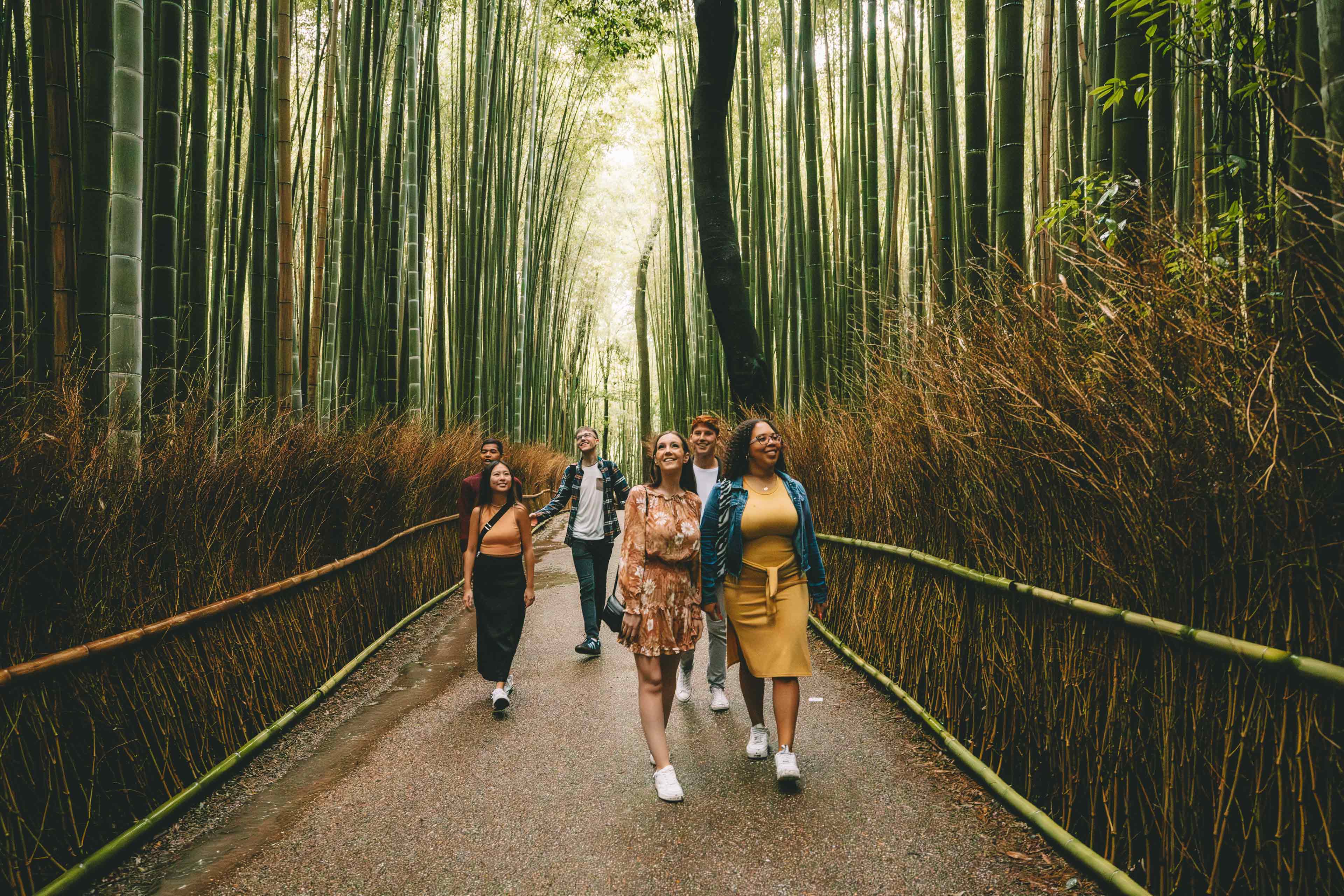 Group Walking Through Forest In Kyoto Japan