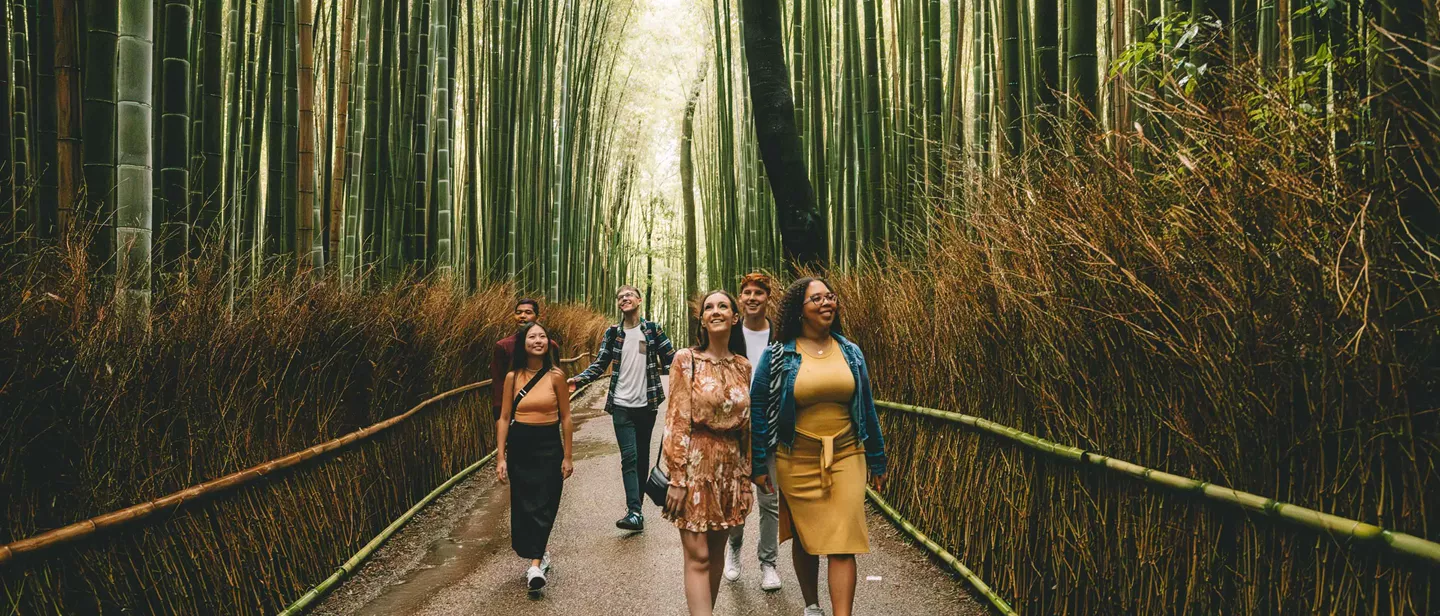 Group Walking Through Forest In Kyoto Japan