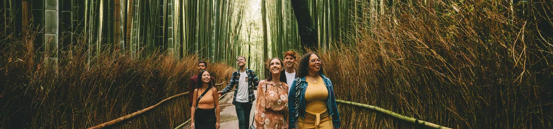 Group Walking Through Forest In Kyoto Japan