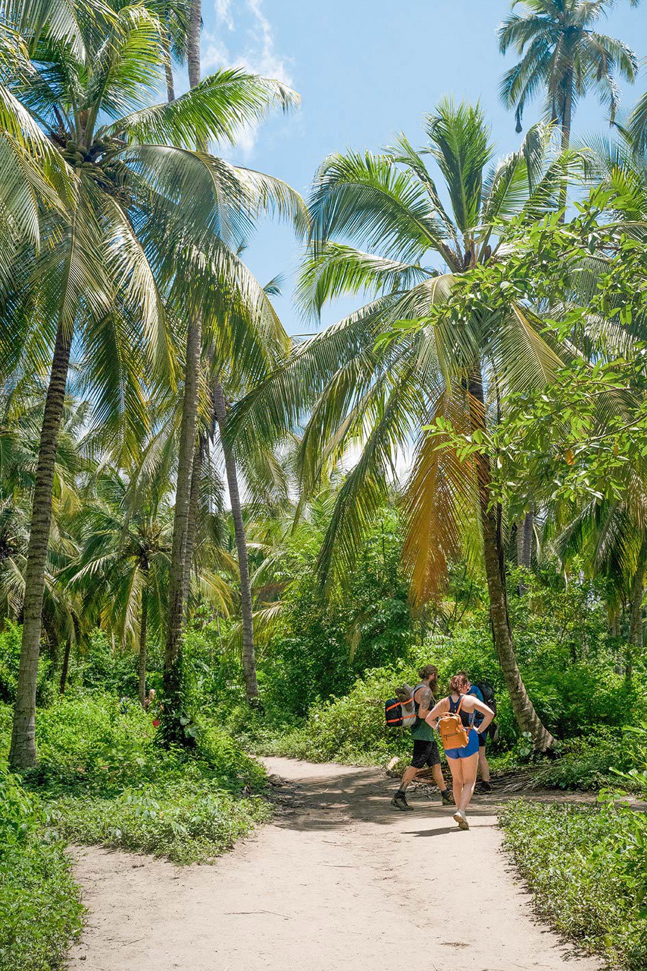 Explore Tayrona National Park on a Guided Hike