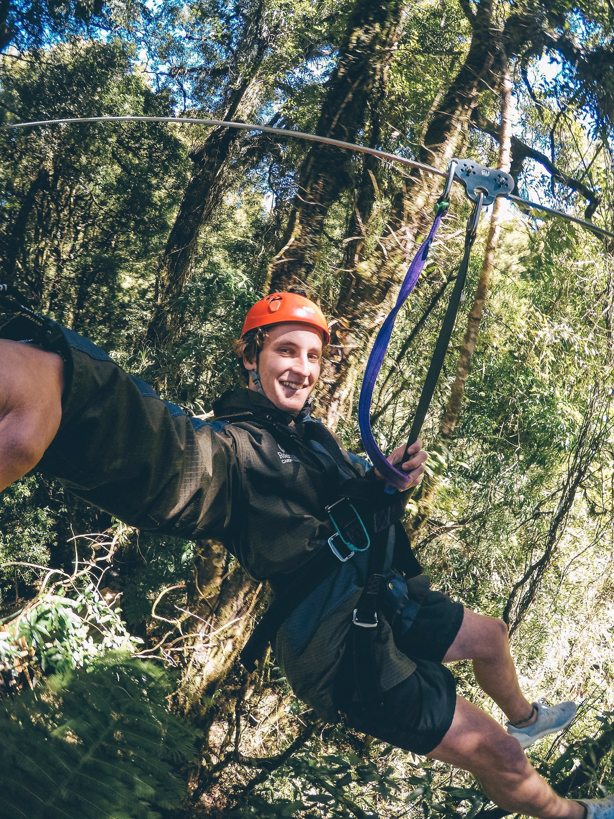 Traveller ziplining through the trees in Queenstown, New Zealand