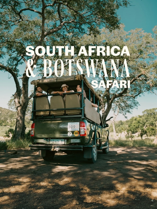 South Africa & Botswana Safari Tour
