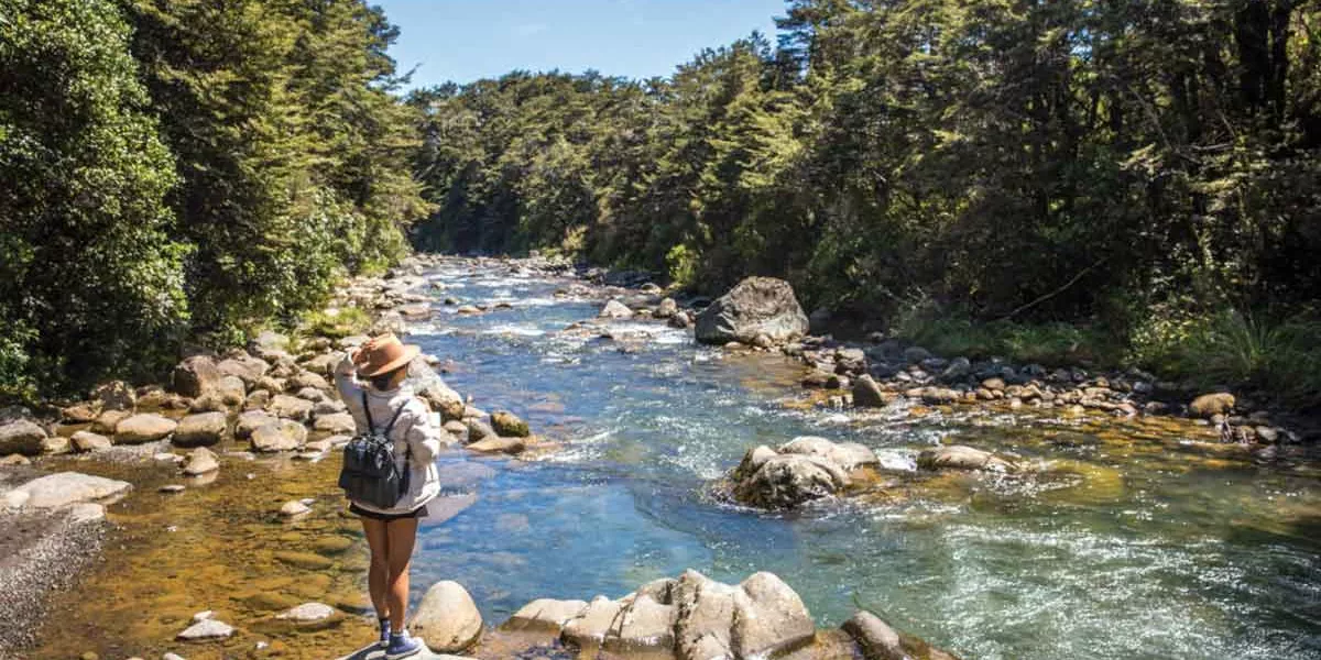 Things To Do In New Zealand