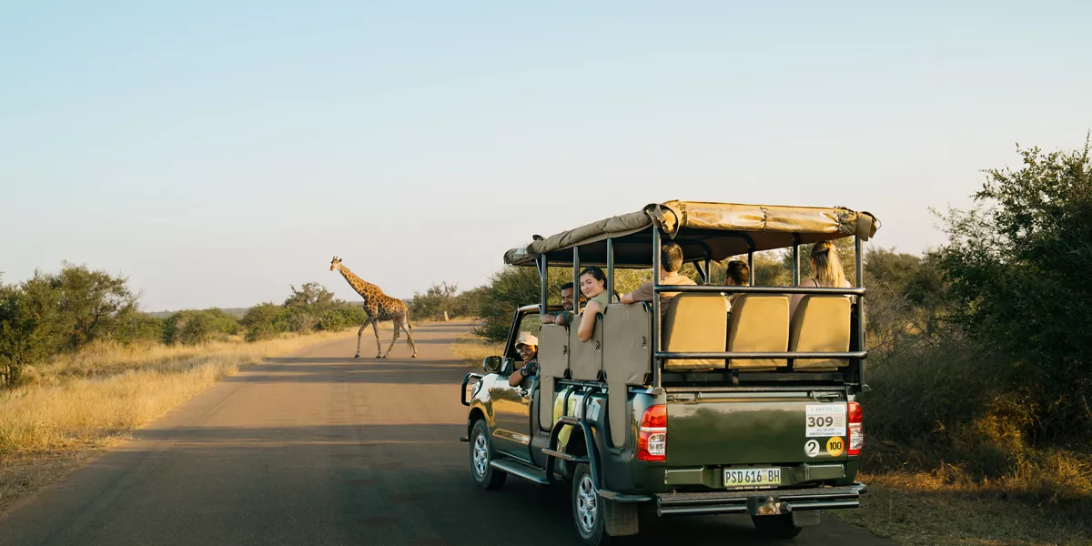group of friends on safari