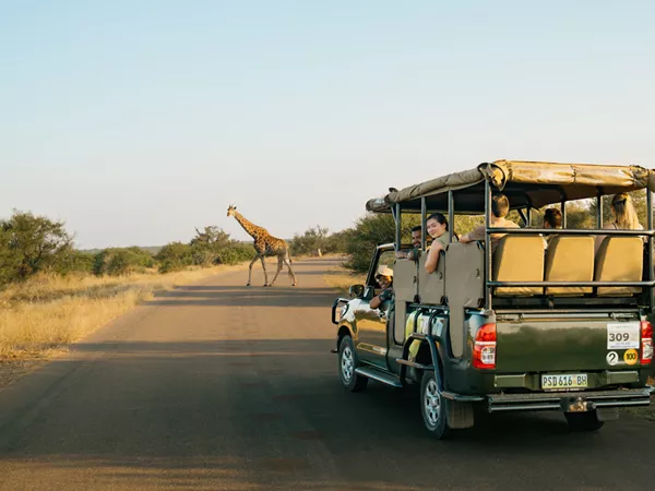 group of friends on safari