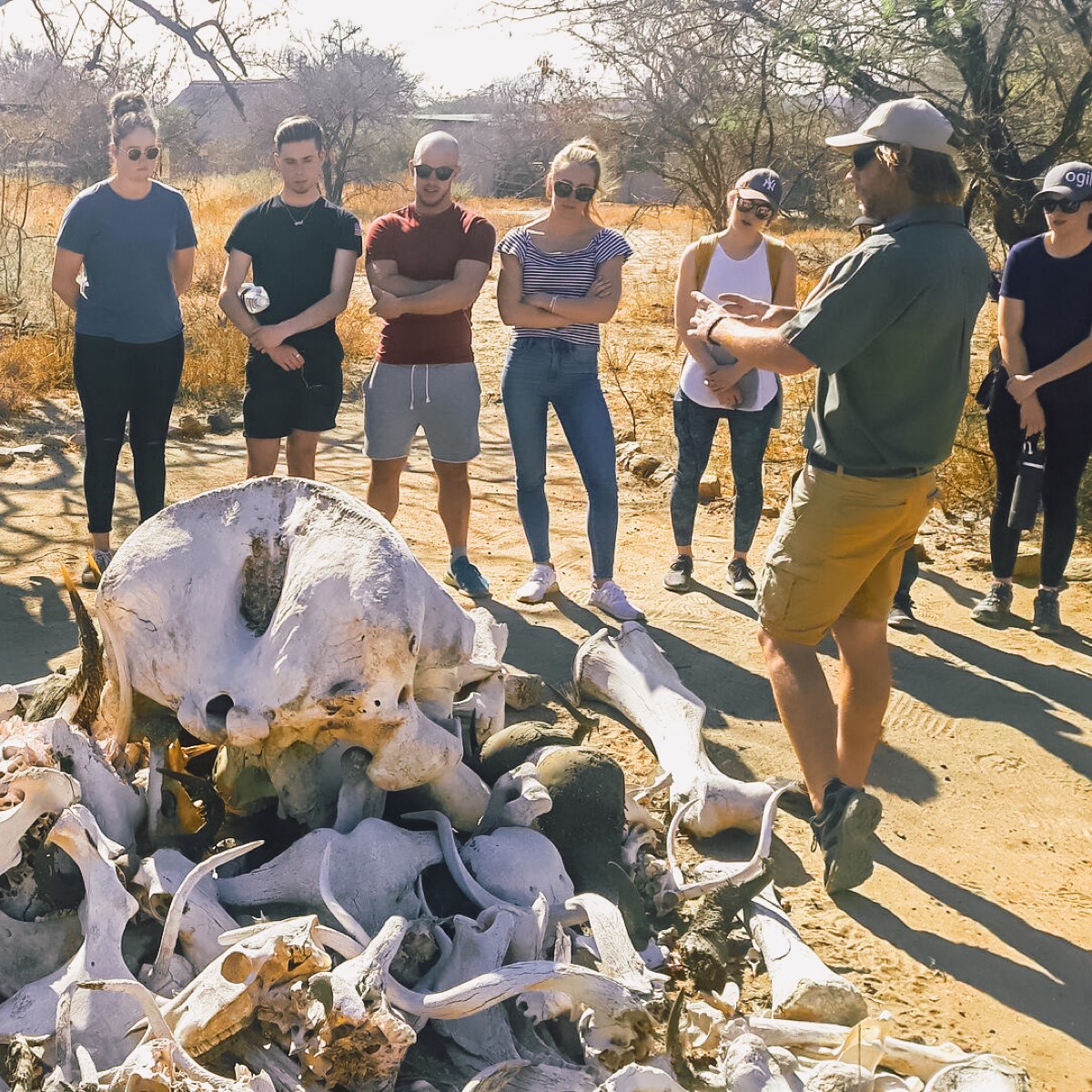 A group of people standing around animal's bones