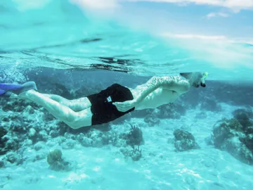 Snorkelling above colourful coral reefs, a Contiki traveller explores the Great Barrier Reef on the Whitsundays to Cairns Tour