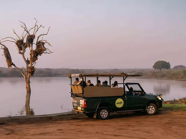 Safari Truck Driving Close To Lake