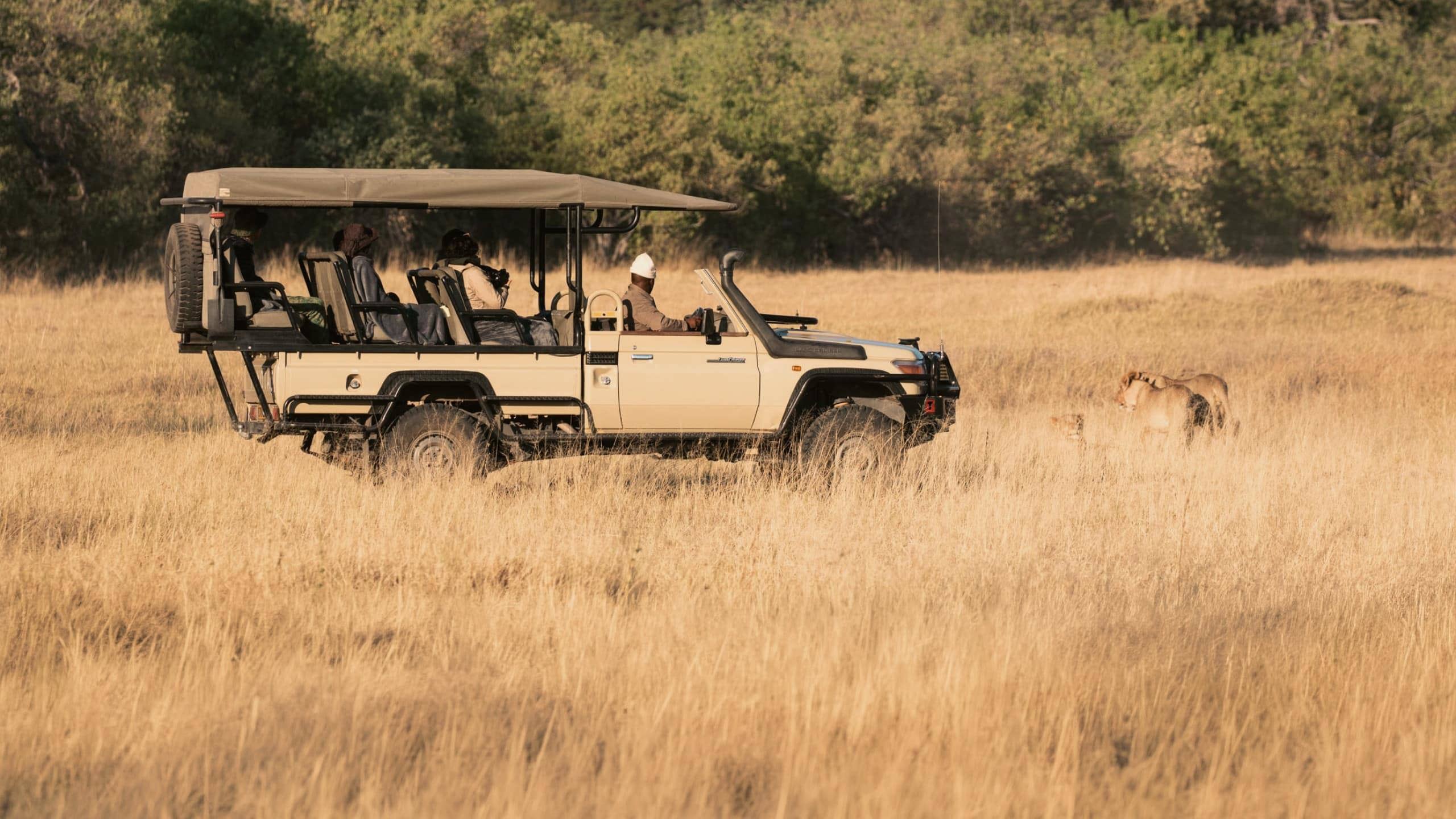 Travellers on an open safari game drive spotting lions in the African savannah, experiencing unforgettable wildlife encounters on the South Africa & Botswana 35 to 45 Tour