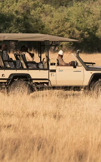 Travellers on an open safari game drive spotting lions in the African savannah, experiencing unforgettable wildlife encounters on the South Africa & Botswana 35 to 45 Tour