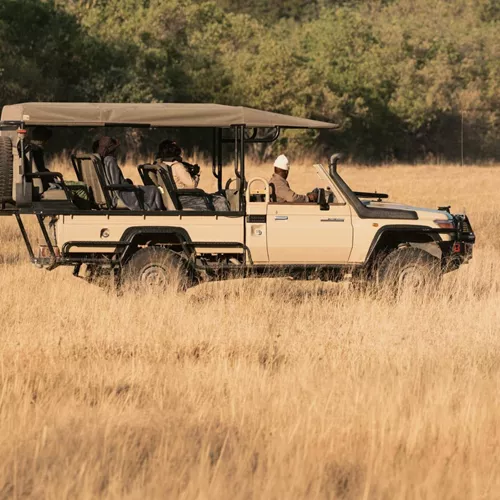 Travellers on an open safari game drive spotting lions in the African savannah, experiencing unforgettable wildlife encounters on the South Africa & Botswana 35 to 45 Tour