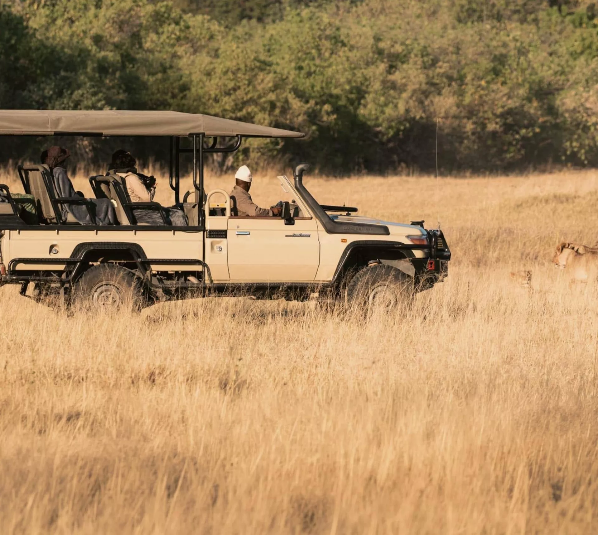 Travellers on an open safari game drive spotting lions in the African savannah, experiencing unforgettable wildlife encounters on the South Africa & Botswana 35 to 45 Tour
