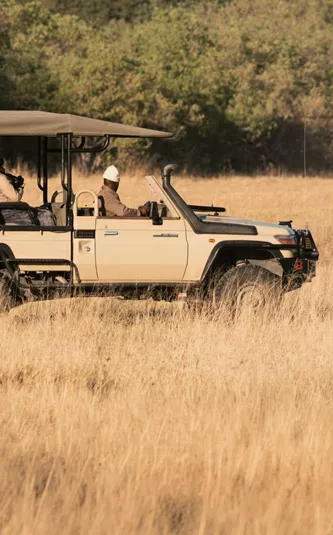 Travellers on an open safari game drive spotting lions in the African savannah, experiencing unforgettable wildlife encounters on the South Africa & Botswana 35 to 45 Tour