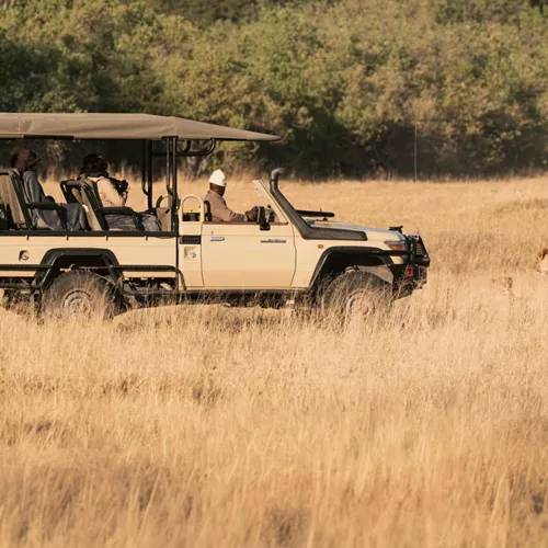 Travellers on an open safari game drive spotting lions in the African savannah, experiencing unforgettable wildlife encounters on the South Africa & Botswana 35 to 45 Tour