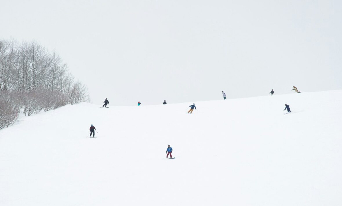 skiing-in-japan.jpg