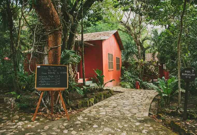 Wts special stay cabin in South American Jungle