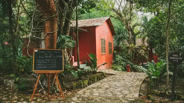 Wts special stay cabin in South American Jungle