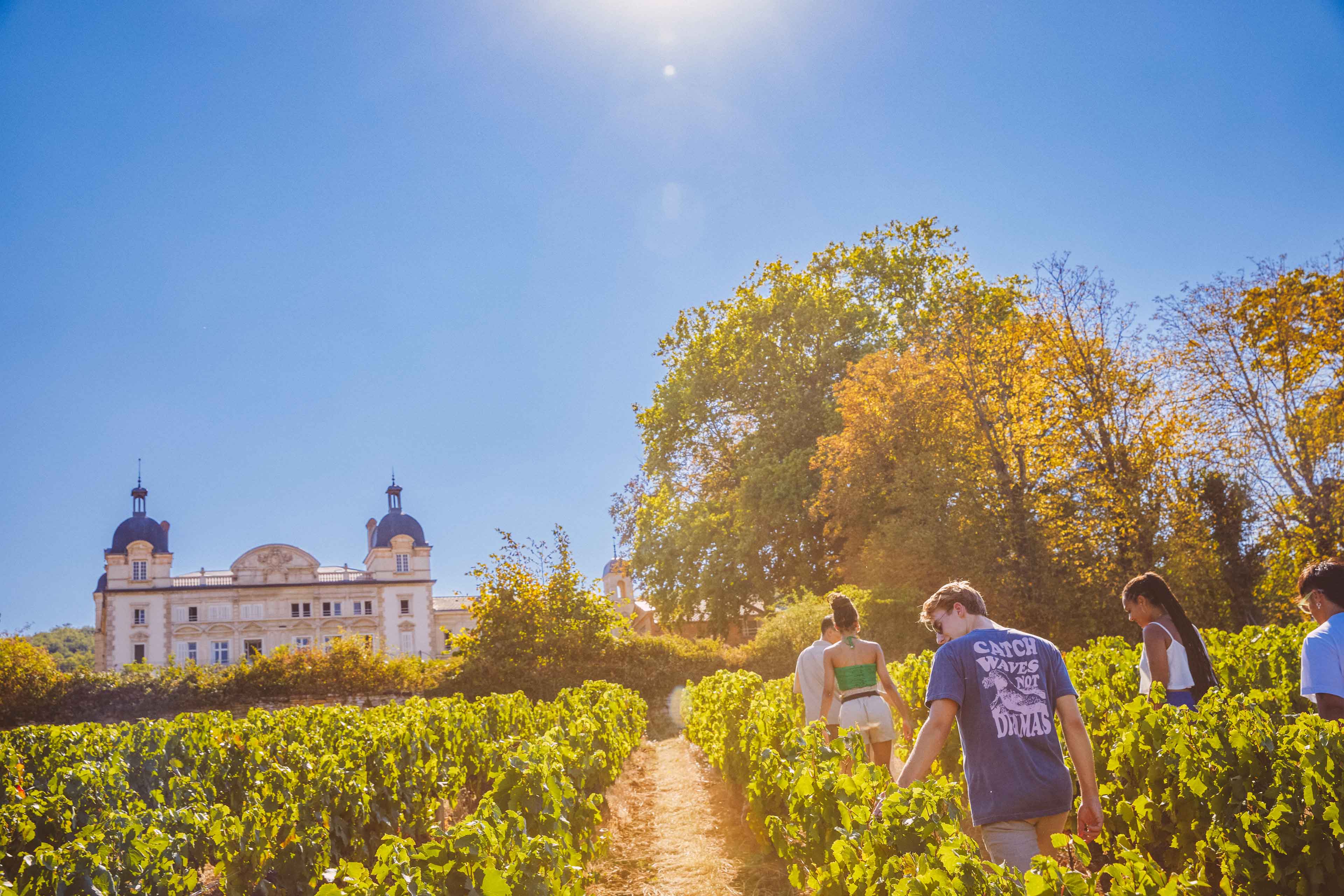 People Walking At The Chateau In France