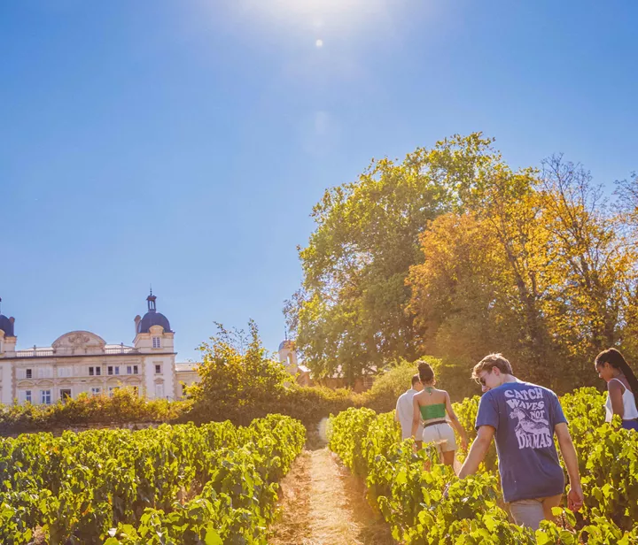 People Walking At The Chateau In France