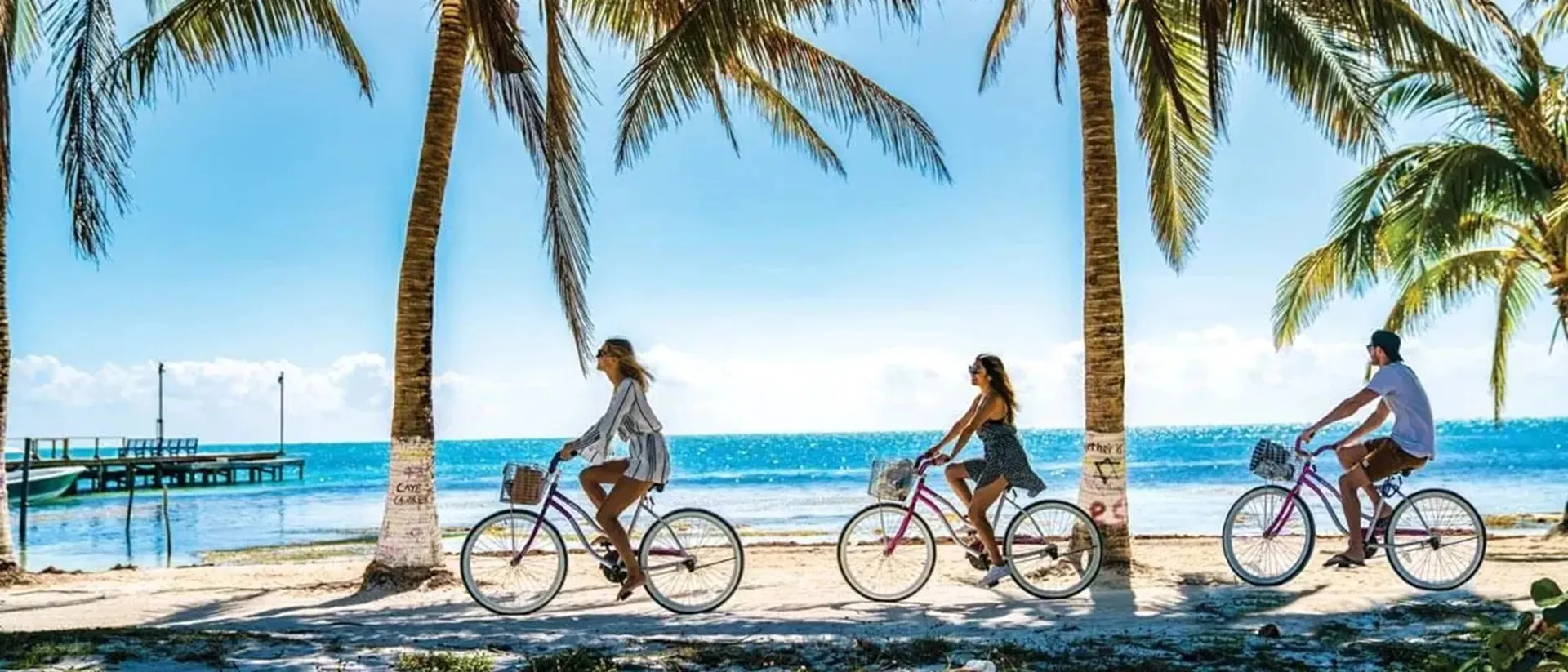Beach Palm Trees People Bikes