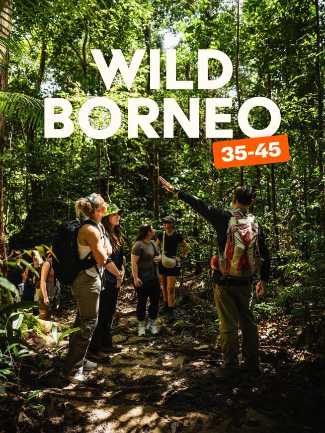Wild Borneo Tour