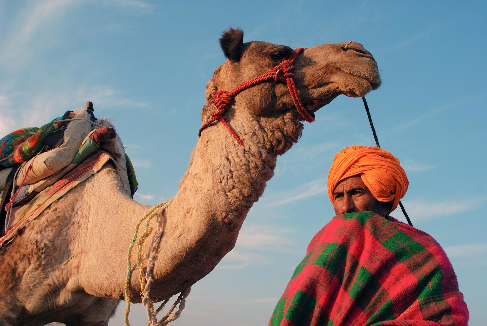Catch a sunset Camel Ride