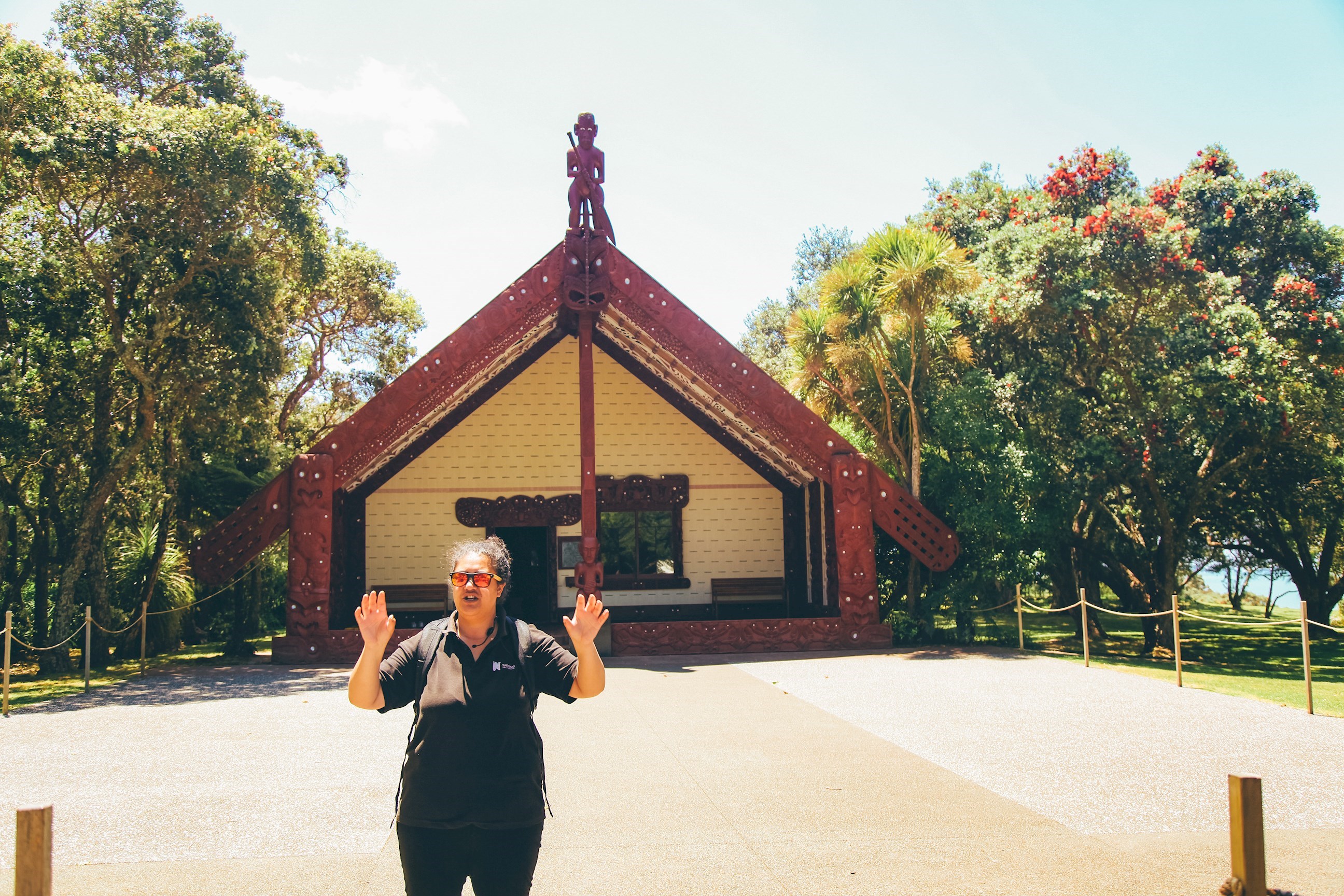 Discover the Waitangi Treaty Grounds with a Local Guide 