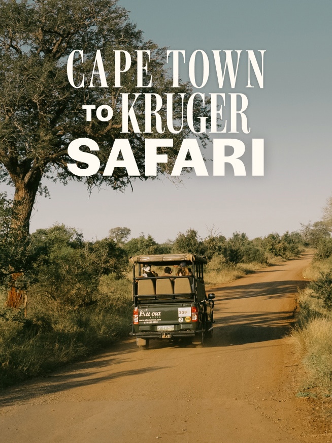 Cape Town to Kruger Safari Tour