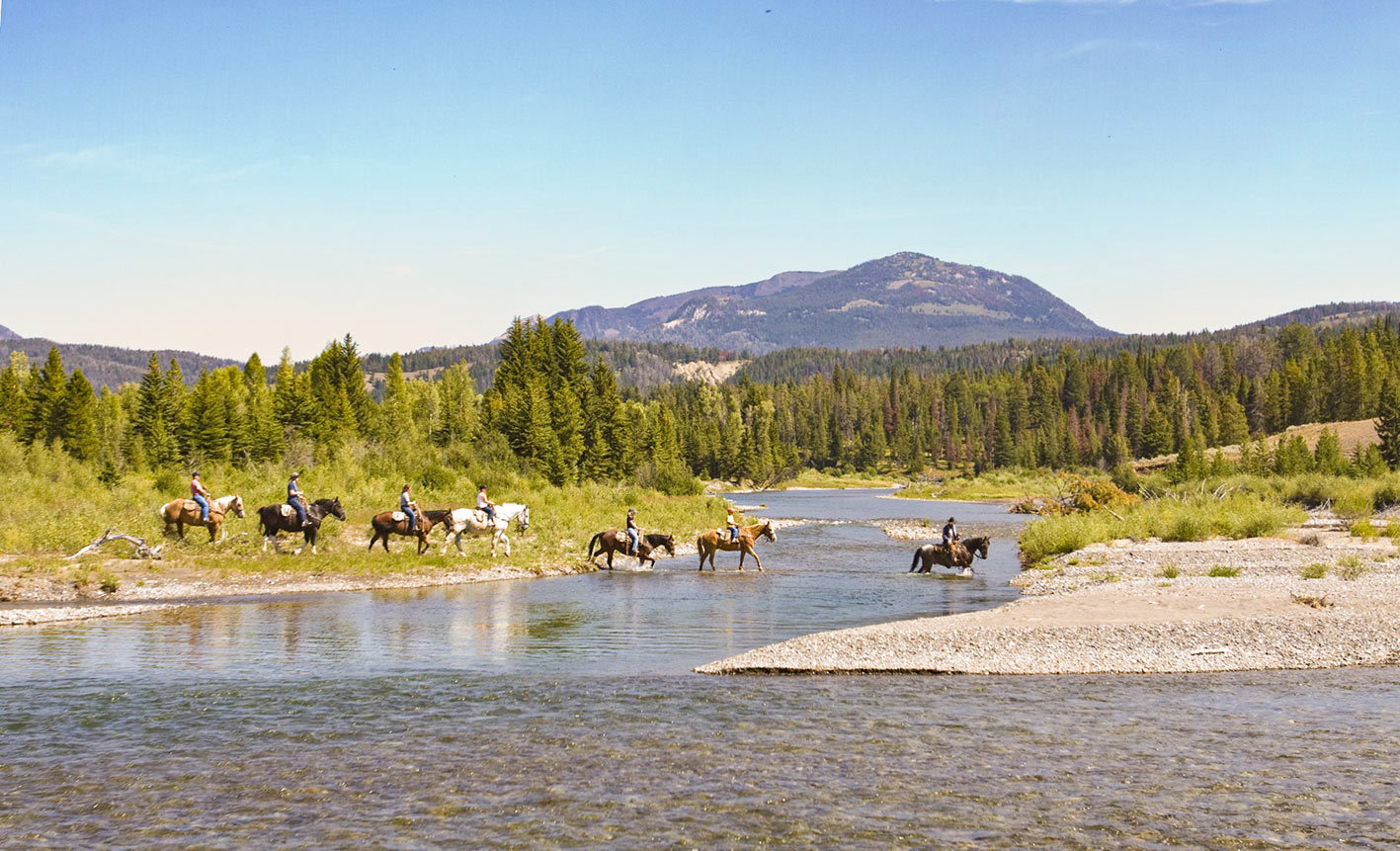 teton-horse-ftao-5.jpg