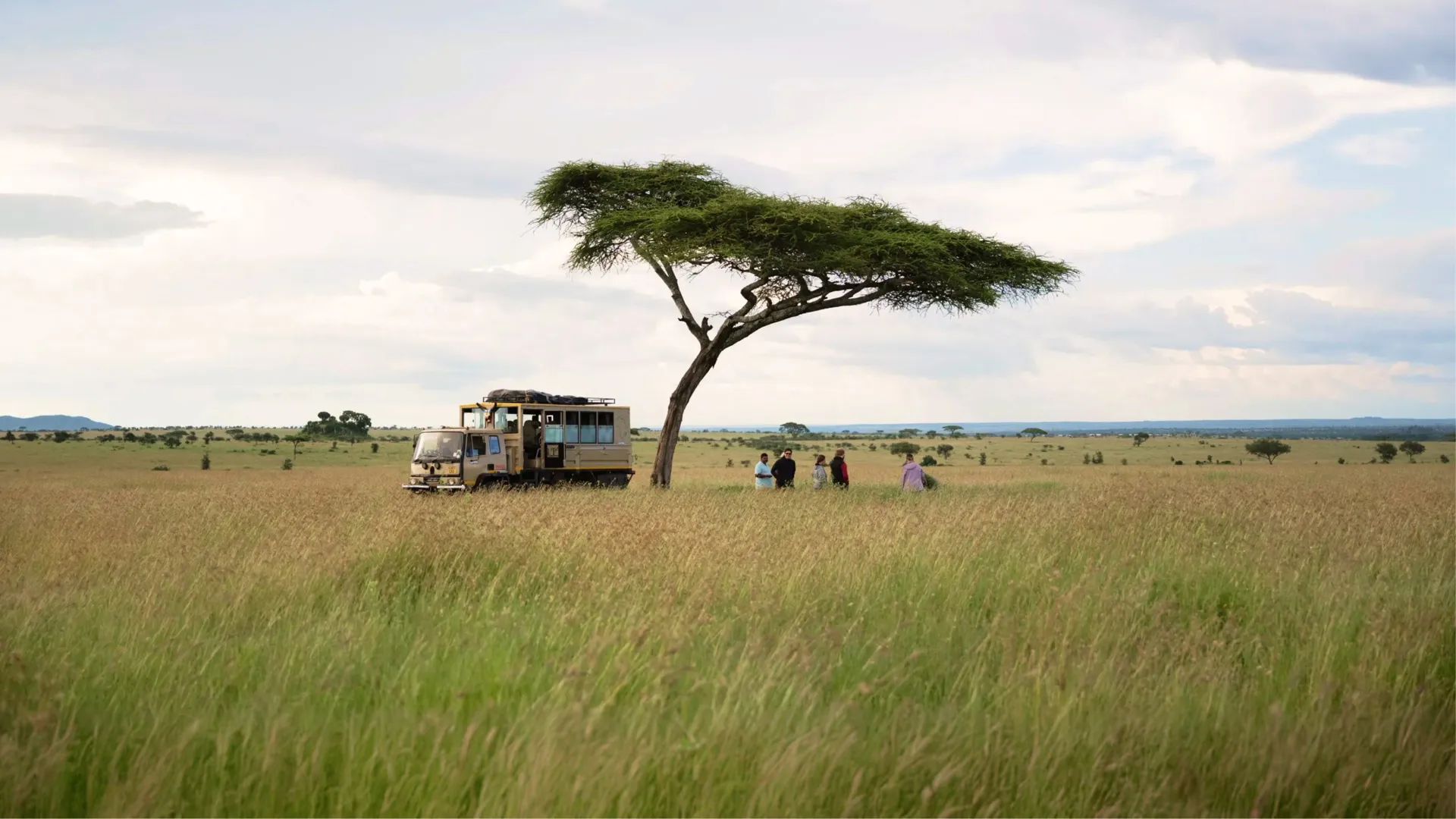 Safari travellers beneath an acacia tree in the Serengeti on Contiki's Best of Uganda, Kenya & Tanzania Tour