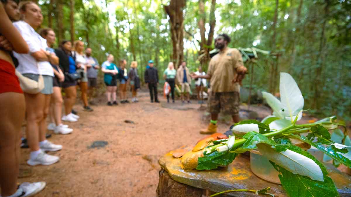 Group Of People Listening To A Tour Guide In Daintree Forest Australia