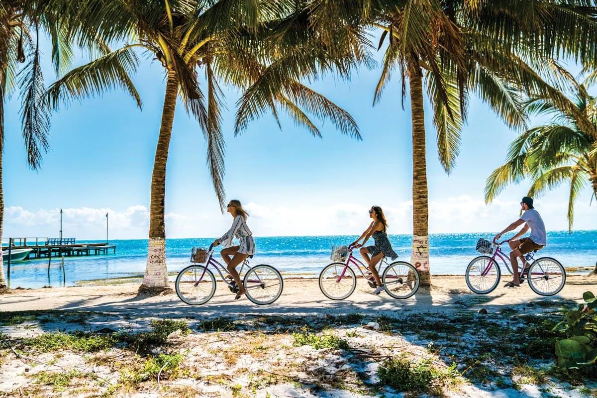 Young People Riding Bicycles Among the Palm Trees near the Beach