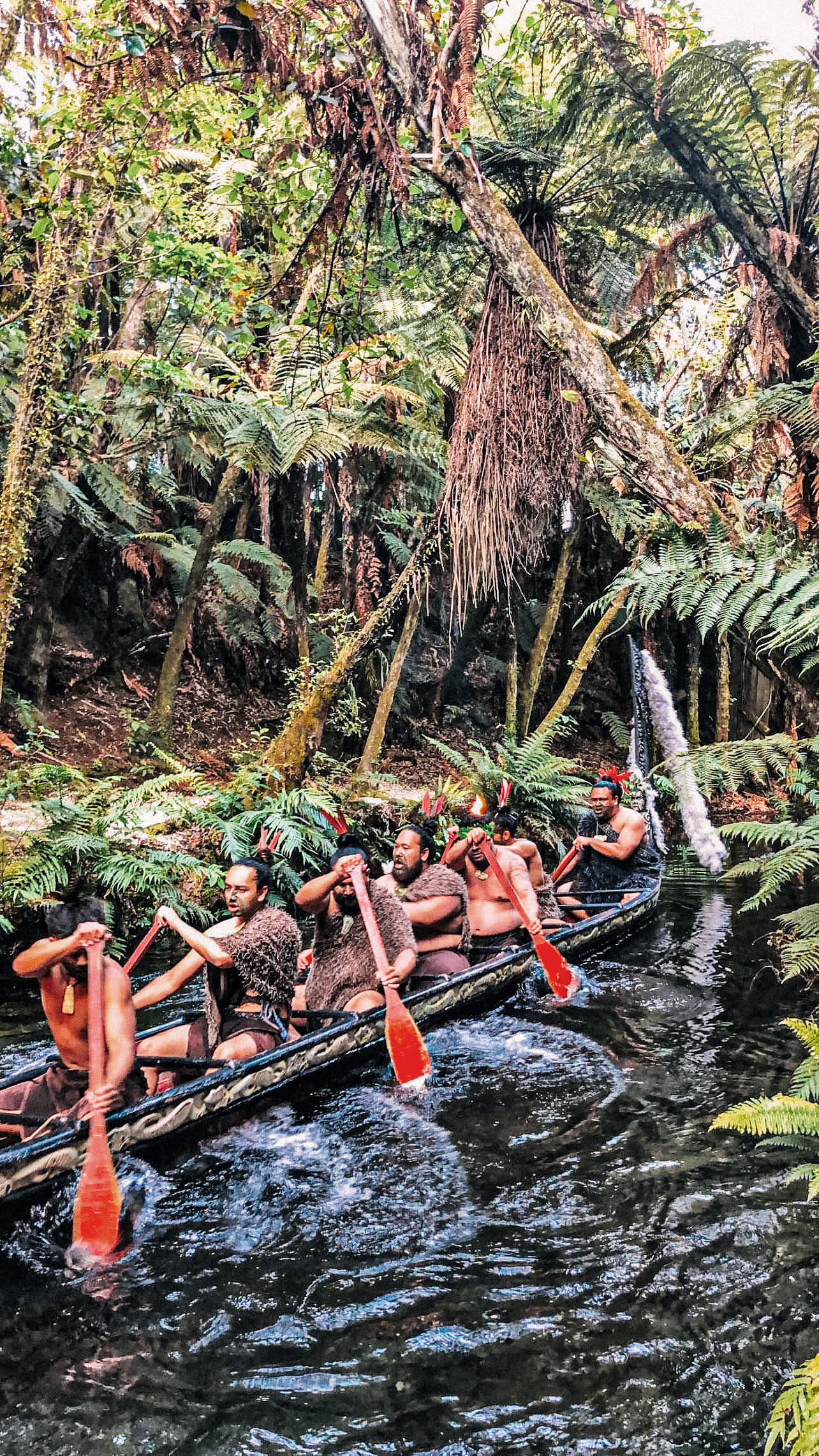 Watch a Traditional Māori Cultural Performance