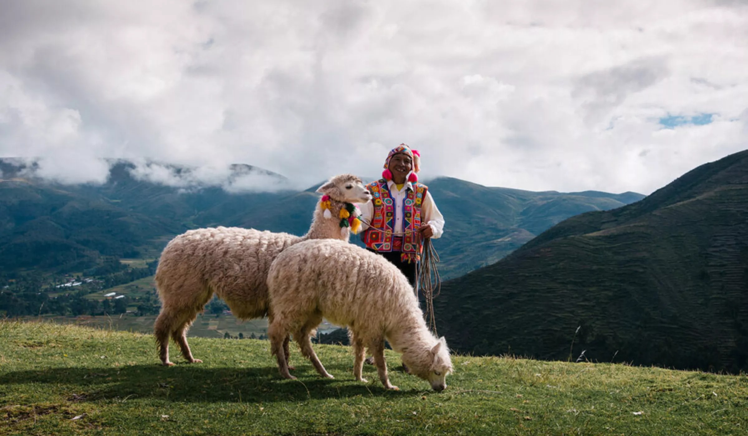 Man With Llama Peru