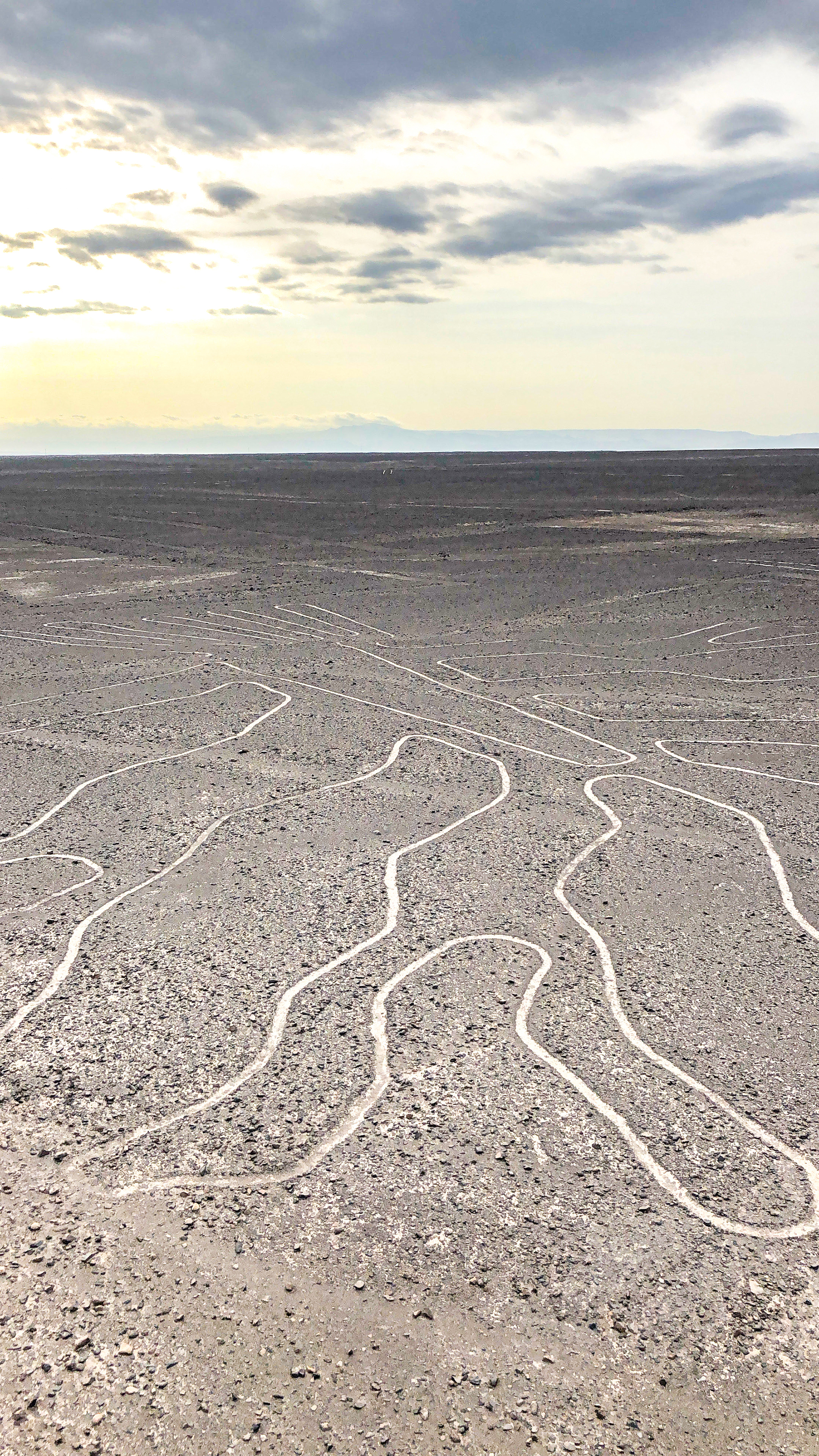See the Nazca Lines up close 