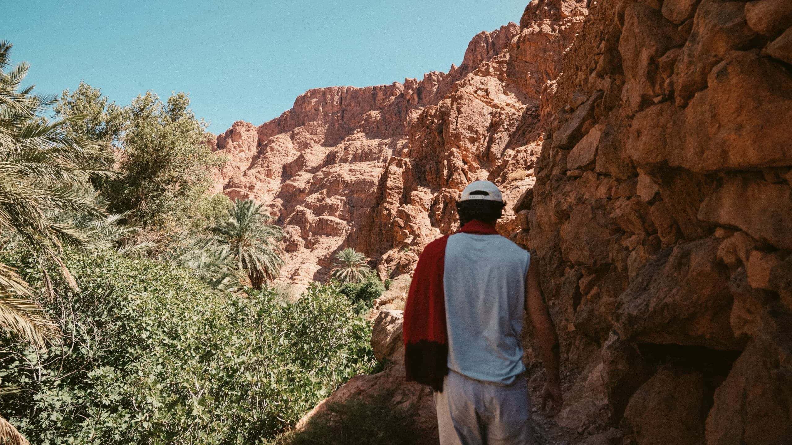A traveller walks through a lush palm-filled canyon surrounded by towering red rock cliffs in Morocco.