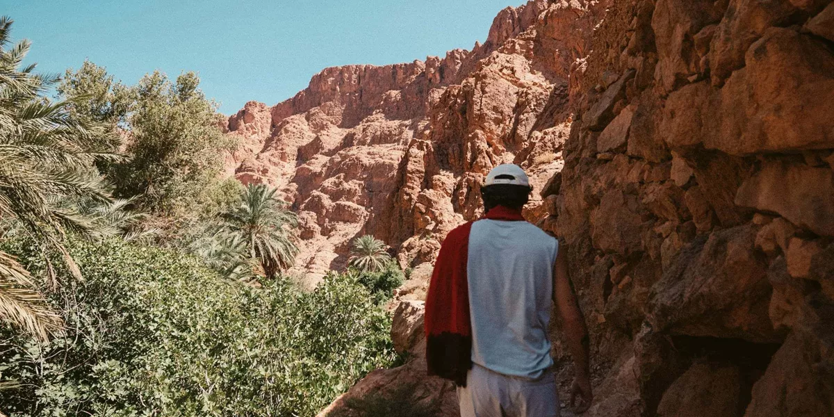 A traveller walks through a lush palm-filled canyon surrounded by towering red rock cliffs in Morocco.