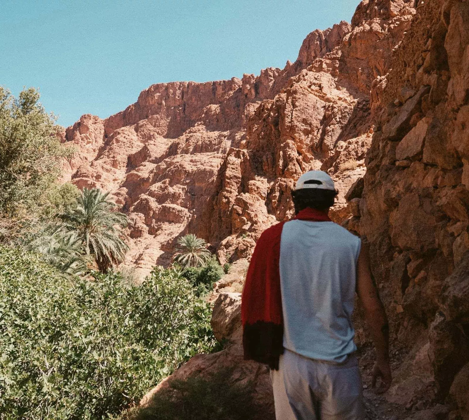 A traveller walks through a lush palm-filled canyon surrounded by towering red rock cliffs in Morocco.