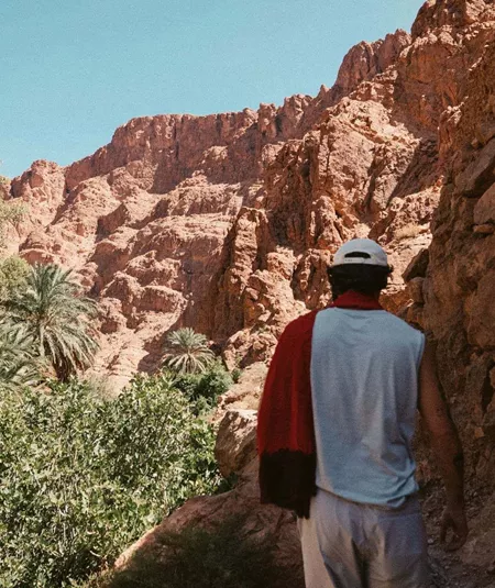 A traveller walks through a lush palm-filled canyon surrounded by towering red rock cliffs in Morocco.