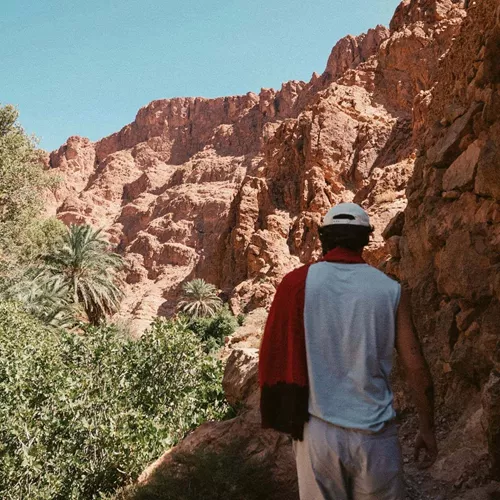 A traveller walks through a lush palm-filled canyon surrounded by towering red rock cliffs in Morocco.