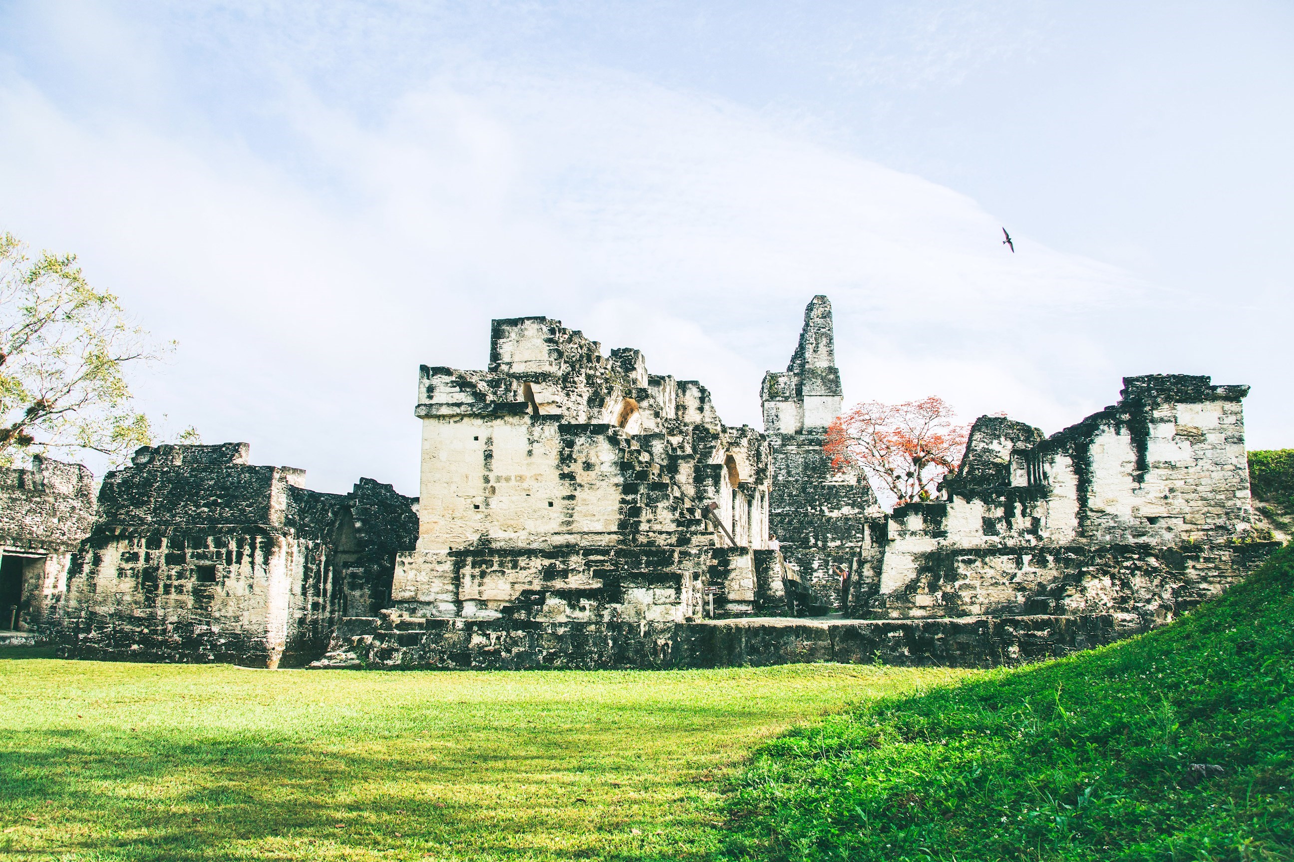 Guided tour: Tikal National Park 